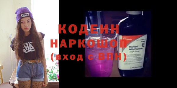 хмурый Магас