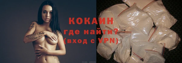 хмурый Магас
