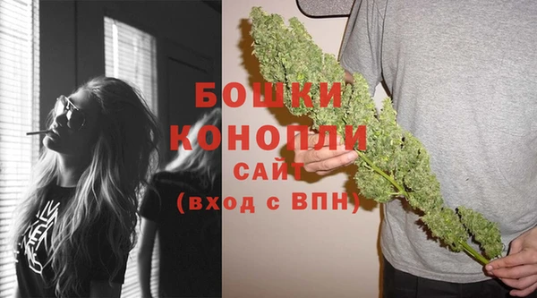 хмурый Магас