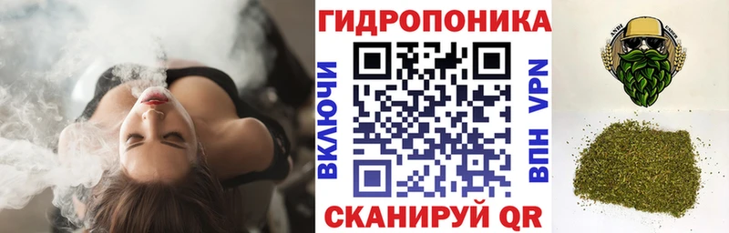 Канабис MAZAR Лысково
